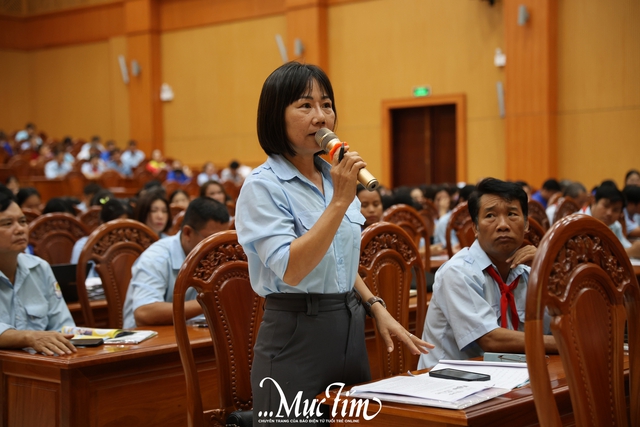 Hơn 260 cán bộ Đội dự triển khai phong trào “Đọc và làm theo báo Đội”- Ảnh 11.