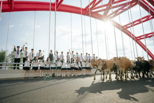 Sân chơi kỷ yếu 2k8: Lớp 12C5 Trường THPT Hoàng Hoa Thám dạo bước qua mùa hạ- Ảnh 10.