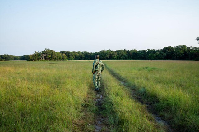 Gabon battles for baby sea turtles' survival- Ảnh 3.