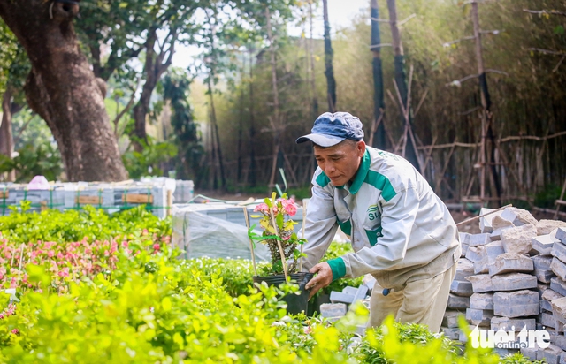 Ho Chi Minh City looks to expand temporary parks on vacant land after Tet pilot- Ảnh 1.