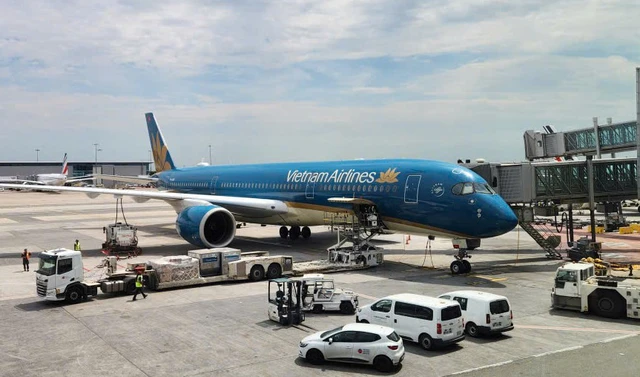 Vietnamese carriers to cut flights as fuel crisis hits operations- Ảnh 1.