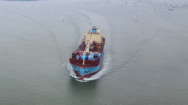 Vietnam to cut maritime pilotage fees by 10% for domestic ships - Ảnh 1.