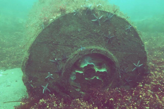 Germany's WWII munitions a toxic legacy on Baltic Sea floor - Ảnh 3.