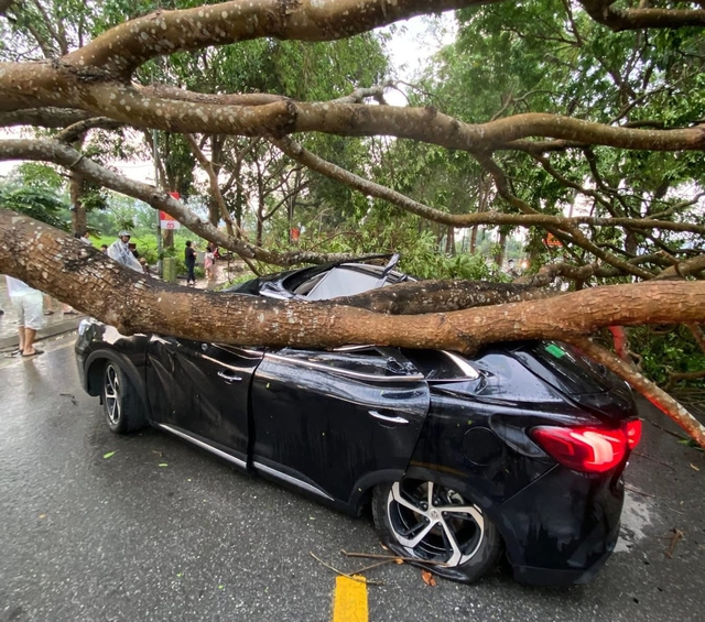 Thunderstorms topple trees, injure worker, damage vehicles in northern Vietnam - Ảnh 3.