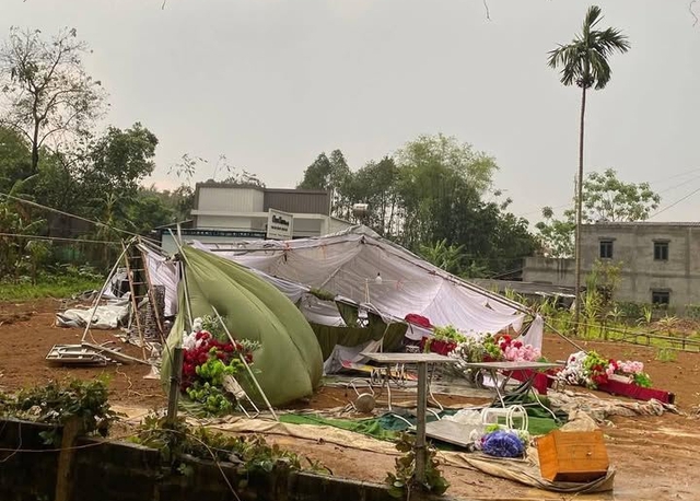Thunderstorms topple trees, injure worker, damage vehicles in northern Vietnam - Ảnh 6.