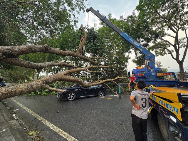 Thunderstorms topple trees, injure worker, damage vehicles in northern Vietnam - Ảnh 1.