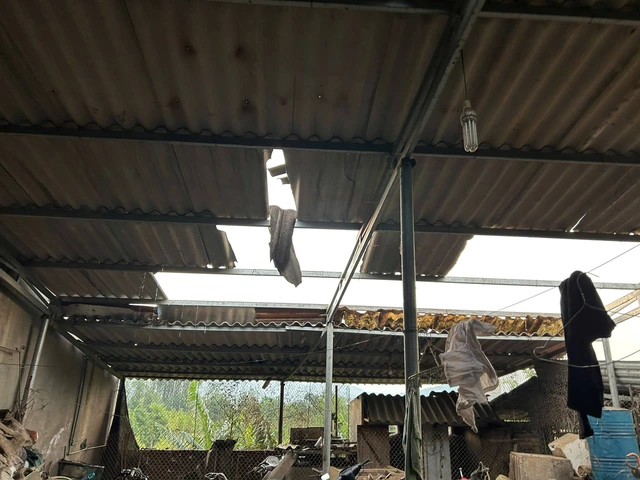 Thunderstorms topple trees, injure worker, damage vehicles in northern Vietnam - Ảnh 5.