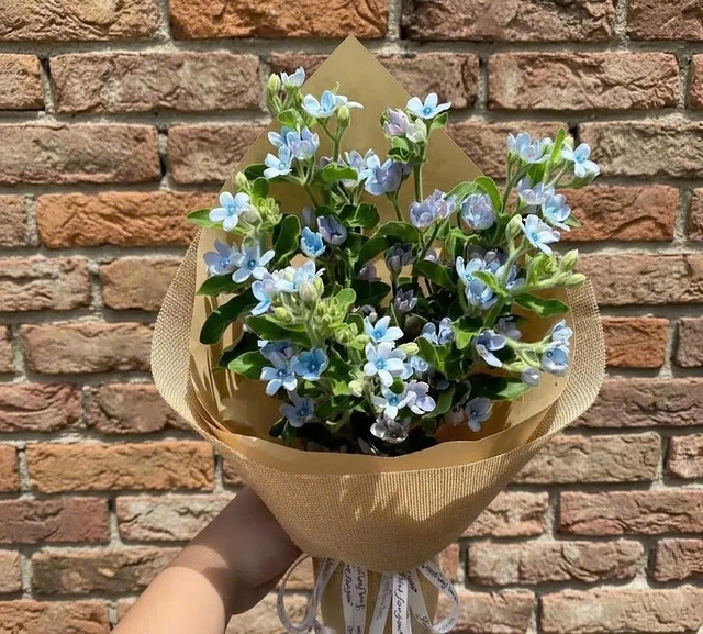 Chọn hoa gì để gửi gắm yêu thương? - Ảnh 1.