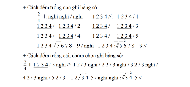Ký hiệu P và T trong các bài trống Đội có ý nghĩa gì?- Ảnh 4.