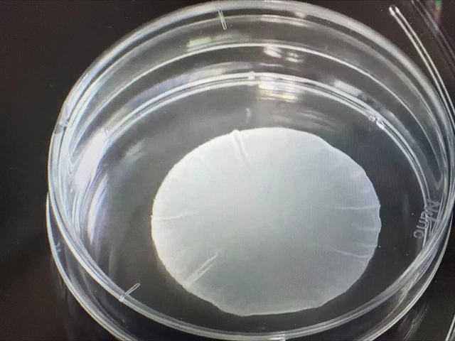 Japan oks world's 1st iPS cell treatments- Ảnh 2.