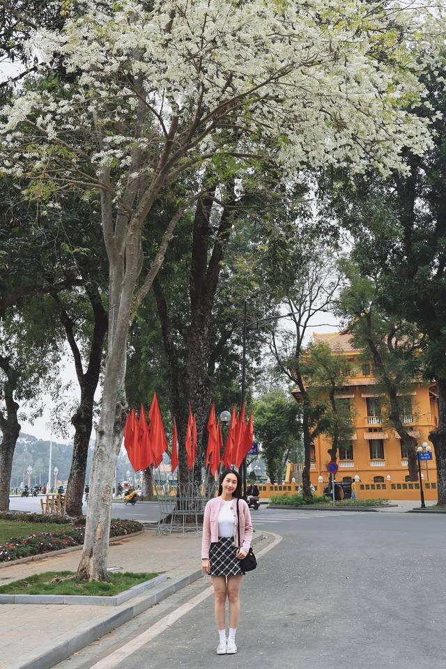Ngẩn ngơ trước vẻ đẹp tinh khôi của mùa hoa sưa Hà Nộ - Ảnh 7.