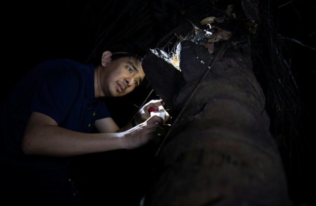 Philippines' 'Cockroach Lord' goes to bat for misunderstood bugs- Ảnh 2.