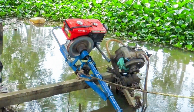 Rising fuel, fertilizer prices worry farmers in Vietnam’s Mekong Delta- Ảnh 1.