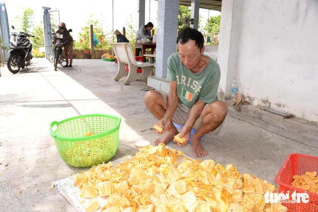 Vietnam’s Mekong Delta jackfruit farmers struggle amid price collapse- Ảnh 1.