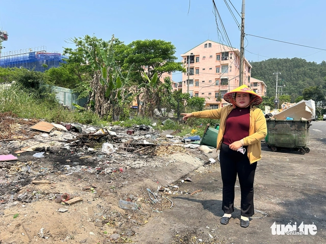 Waste piles up along Da Nang’s Son Tra coastal streets - Ảnh 2.