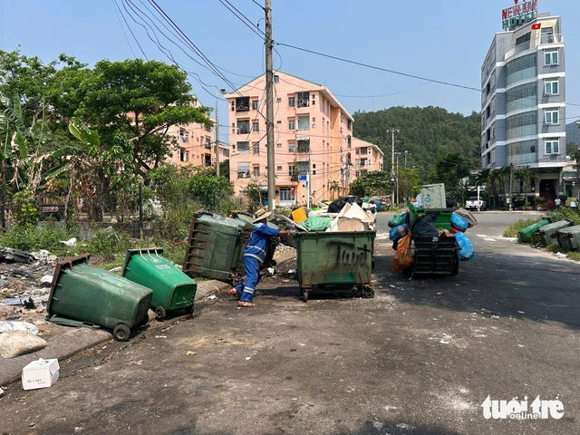 Waste piles up along Da Nang’s Son Tra coastal streets - Ảnh 6.