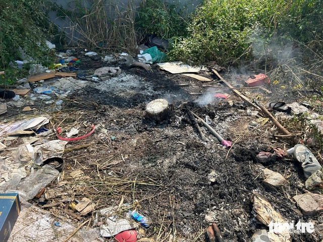Waste piles up along Da Nang’s Son Tra coastal streets - Ảnh 3.