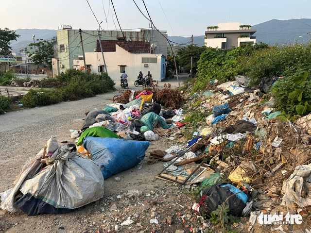 Waste piles up along Da Nang’s Son Tra coastal streets - Ảnh 5.