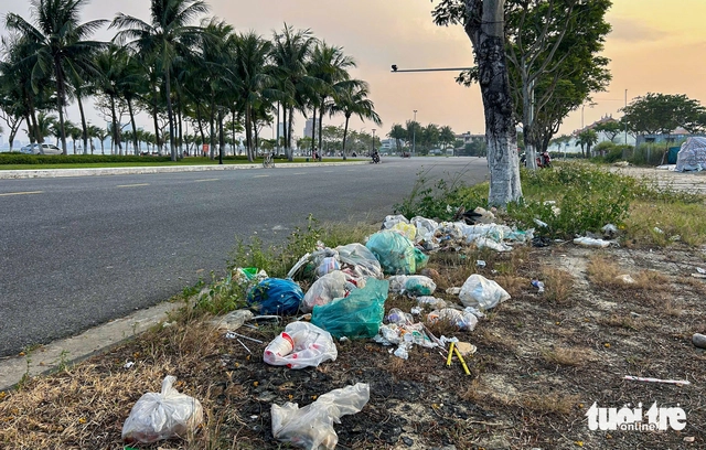 Waste piles up along Da Nang’s Son Tra coastal streets - Ảnh 4.