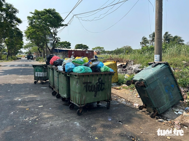 Waste piles up along Da Nang’s Son Tra coastal streets - Ảnh 7.