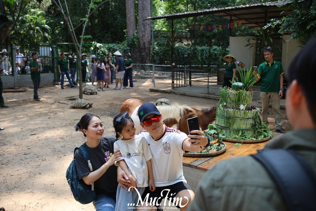 Ngựa lùn Cacao Thảo cầm viên ra mắt, “khai hoa bắt miếng” tại tiệc đầy tháng- Ảnh 13.