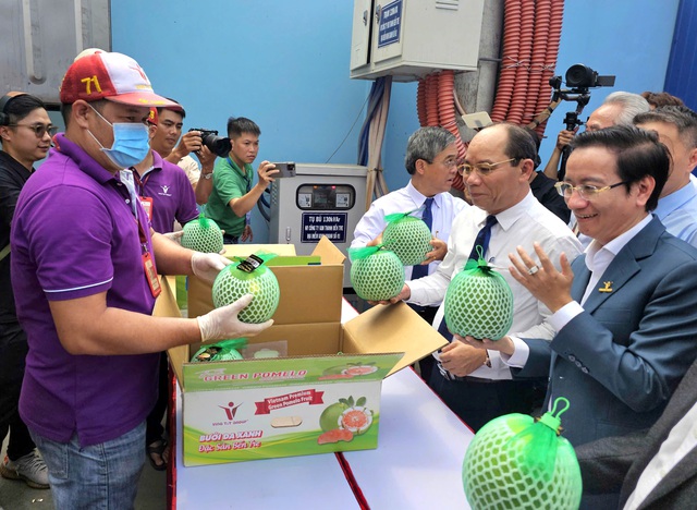 Vietnam ships 1st batch of fresh pomelos to Australia- Ảnh 2.