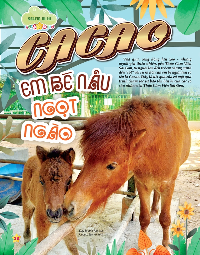 Mời các bạn đón đọc Ngôi Sao Nhỏ số 3, phát hành ngày 14-4-2026: Sự tích bánh chưng - bánh dày - Ảnh 3.