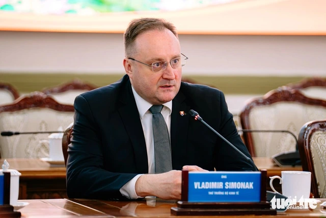 Ho Chi Minh City, Slovakia aim to strengthen cooperation in key sectors - Ảnh 1.