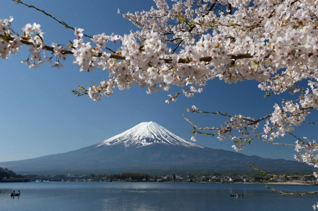 Rising interest in Japan's traditional culture and the four seasons - Ảnh 1.
