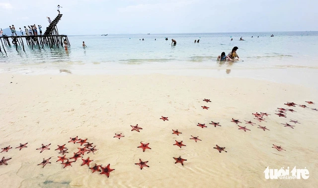 Best things to do on Vietnam’s Phu Quoc Island during public holidays- Ảnh 2.