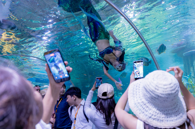 Festive events, promotional programs await visitors in Vietnam’s Nha Trang during upcoming holiday - Ảnh 1.