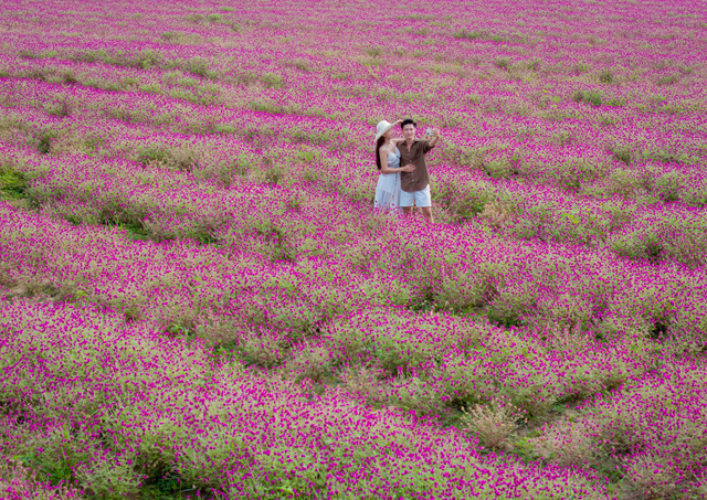 Festive events, promotional programs await visitors in Vietnam’s Nha Trang during upcoming holiday - Ảnh 2.