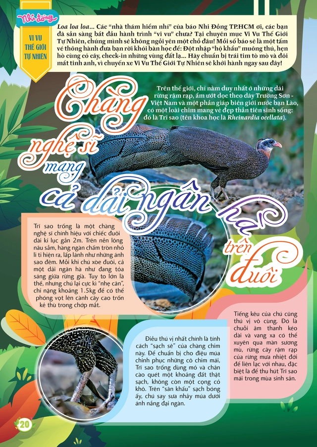 Mời bạn đón đọc Nhi Đồng TP.HCM 17, phát hành 24-4-2026: Hành trình về miền đất Tổ - Ảnh 2.