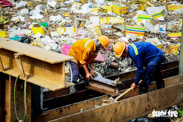 Middle-aged workers face hiring challenges in Ho Chi Minh City as firms favor younger staff- Ảnh 1.