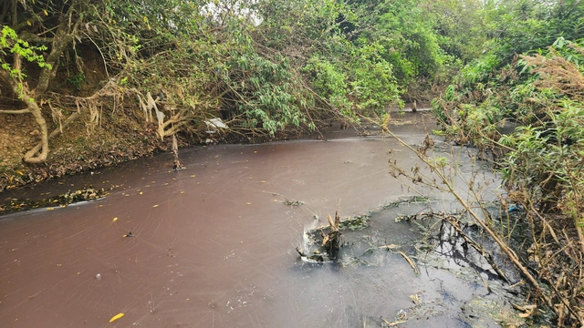 Purple water in Vietnam’s Thanh Hoa Province linked to company’s untreated wastewater discharge- Ảnh 2.