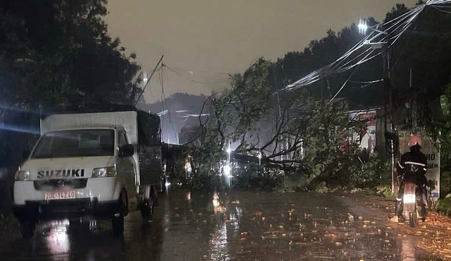 Tornado injures 1, tree collapse kills another in northern Vietnam- Ảnh 1.