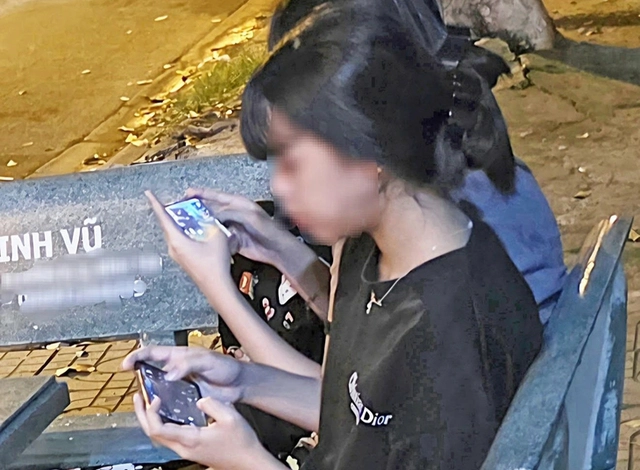 Teach Vietnamese children digital skills instead of banning social media: opinion- Ảnh 1.