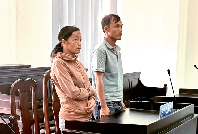 In Vietnam, mother, son jailed for stealing 1,000 unattended ducks - Ảnh 1.