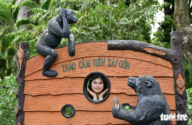 Meditating frog statue sparks viral photo trend at Ho Chi Minh City zoo - Ảnh 5.