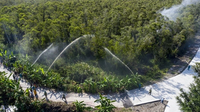 Over 20,000 hectares of forest in Vietnam’s Ca Mau at high fire risk - Ảnh 1.