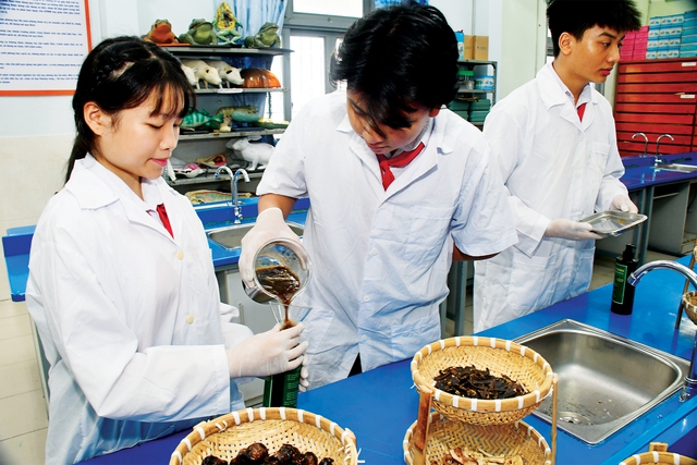 Dầu gội thảo dược "made in học trò" - Ảnh 4.