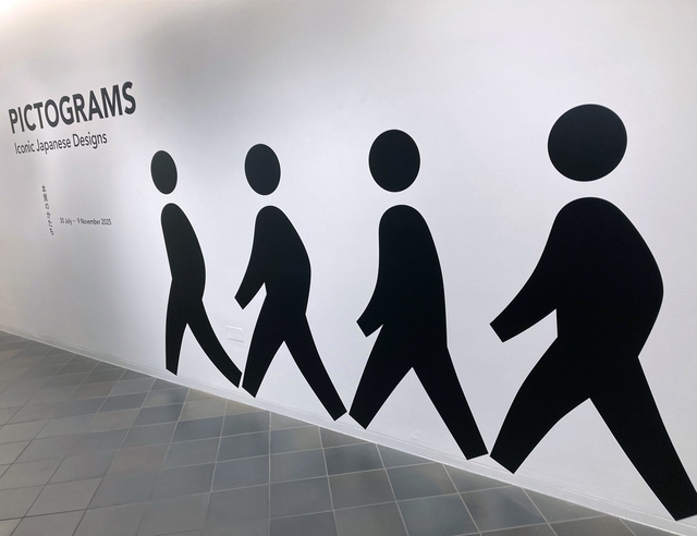 Multilingual alerts, pictograms proposed after foreigner accident- Ảnh 1.