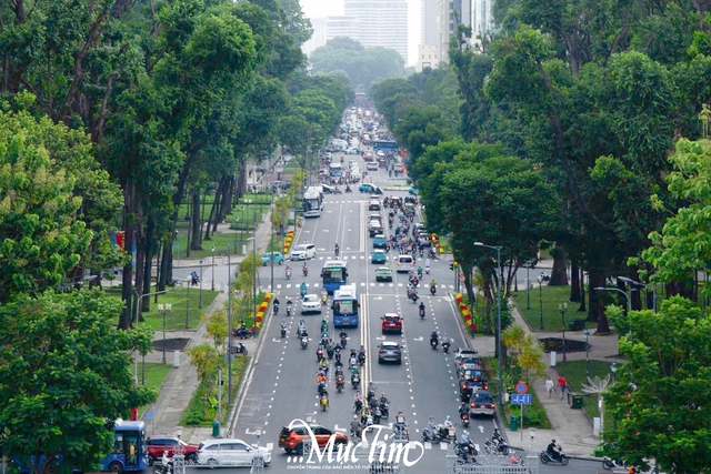 TP.HCM điều chỉnh giao thông từ ngày 24-4 phục vụ cuộc đua xe đạp toàn quốc- Ảnh 1.