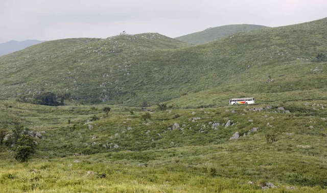 Karst plateau in western Japan named UNESCO Global Geopark - Ảnh 1.