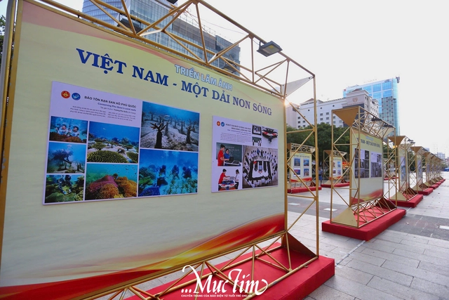 Đến đường đi bộ Nguyễn Huệ thưởng thức triển lãm ảnh 'Việt Nam - Một dải non sông'- Ảnh 4.