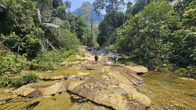 Vietnam finds 26 new caves in Phong Nha-Ke Bang, including 4.2-km cavern - Ảnh 7.