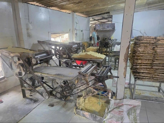 Couple arrested for allegedly producing 2,800 tonnes of contaminated fresh noodles in Ho Chi Minh City- Ảnh 2.