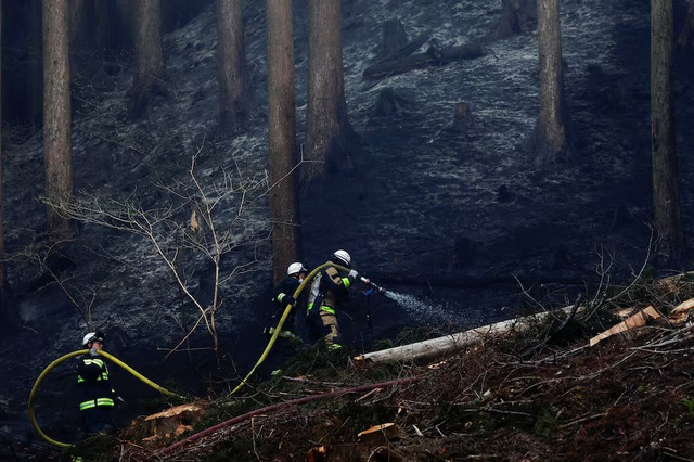 Firefighters in northern Japan struggle to contain blazes as over 3,000 people evacuated- Ảnh 1.
