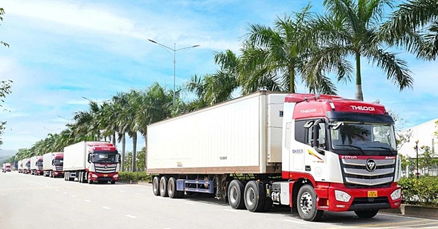 Lack of cold storage limits fruit sector, hurts farmers in Vietnam- Ảnh 1.