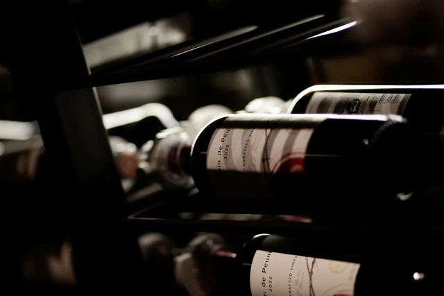 Chile's wine industry targets younger drinkers as consumption slumps - Ảnh 1.